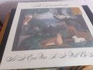 The Decemberists-As it ever was so it will be Again-300 ONLY TIGER EYE VINYL