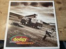 DODGY - HOMEGROWN (1994) UK A&M Records 1st Press LP NM/EX-
