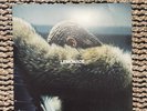 Lemonade [Yellow 180 g Vinyl] [Gatefold Cover] by Beyoncé (Record, 2017)