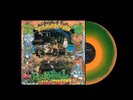 Rich Kids On LSD Rock'n'Roll Nightmare LTD 1LP Green Orange Vinyl 2024 Epitaph