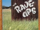 The Rave-Ups - Town + Country LP - 1985 - Excellent condition