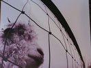 Pearl Jam - Vs. Vinyl Album (2023) New