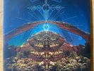 CRB - Big Moon Ritual (2012) 2 x Vinyl Record Chris Robinson Brotherhood Sealed