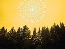 The Decemberists - The King Is Dead [New Vinyl LP]
