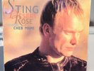 Sting Desert Rose 12 Inch Single Vinyl