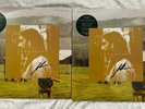 Noah Kahan - Stick Season - Limited Double LP Green Vinyl & SIGNED PRINT