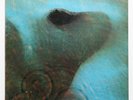 PINK FLOYD Meddle psych prog progressive rock french 1974 harvest SHVL 795 LP