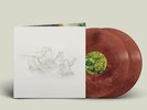 Big Thief - Dragon New Warm Mountain.. / Vinyl 2xLP limited on Randomly Colored