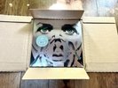 Underoath They're Only Chasing Safety 20th Anniversary Vinyl - Cornetto & Gold