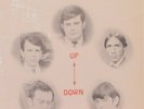 SUMMER SOUNDS UP DOWN LAUREL 331098 TEENBEAT GARAGE PSYCH GRAIL IN SHRINK