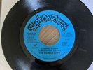 SOUL FUNK Electronic BOOGIE 45 The Pendletons 2010 Promo Slept On Records VG+