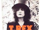 T. REX THE SLIDER MS 2095 REPRISE VINTAGE 1972 WARNER BROS. ALBUM LP RECORD