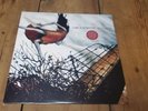 CIRCA SURVIVE Juturna Orange and White Swirl with Blue Black Splatter Vinyl LP