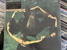 Night Verses Every Sound Has A Color In The Valley Of Night (Vinyl) NEW MINT