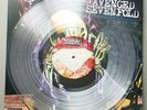 Avenged Sevenfold - Diamonds In The Rough Limited Edition Clear Vinyl,2 LP