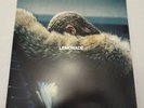 Beyonce - 