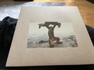 Shellac - Dude Incredible Vinyl LP Albini Excellent