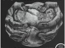 Rollins Band Life Time NEW OVP Dischord Vinyl LP & MP3