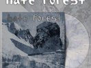 HATE FOREST – purity – CLEAR LP