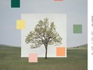 Washed Out - Notes From a Quiet Life - Honeydew-Melon [New Vinyl LP] Colored Vin
