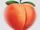 Prophet & Tyler, The Creator - Peach Fuzz  [VINYL]