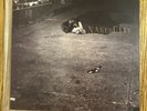 John Zorn - Naked City 2016 Vinyl Pressing