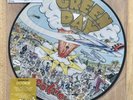 Green Day ¨Dookie¨ Limited Edition Repress Picture Disc LP/Vinyl 2017