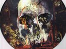 SLAYER - SOUTH OF HEAVEN PICTURE DISC LP