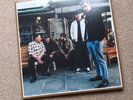 Stone Foundation - Everybody, Anyone - Gatefold Double Coloured Vinyl LP