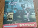 STRAY CATS 