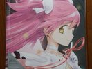 Puella Magi Madoka Magica Ultimate Best VINYL Record