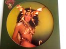 RARE CHER TAKE ME HOME  PICTURE DISC 12