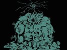 COLD SUN DARK SHADOWS NEW LP