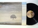GENESIS wind & wuthering LP EX/EX, CDS 4005, vinyl, album, with lyric interior, uk