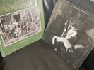 The WaterBoys Vinyl X 2 This Is The Sea & Fisherman’s Blues