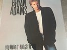 Vintage Vinyl LP Record Bryan Adams You Want It You Got It