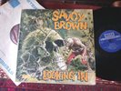 SAVOY BROWN  -     Looking In,        VERY RARE ORIGINAL 1970 UK LP / inner