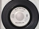 The Checkerlads Shake Yourself Down / Baby Send for Me | 7“ Garage Rock Promo