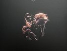 ODESZA The Last Goodbye Limited Edition Deluxe Box Set Vinyl Sealed