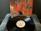 Slayer | Hell Awaits Vinyl | Roadrunner | 1985 | Mint