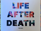 Tobymac - Life After Death LP Toby Mac