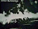 Dead Kennedys Fresh Fruit for Rotting Vegetables UK 1981 BLUE VINYL +Poster SALE