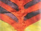 Yeah Yeah Yeahs Show Your Bones (Vinyl)