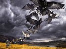 David Gilmour Rattle That Lock (Vinyl) 12