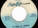 The Vontastics - I'll Never Say Goodbye - Satellite