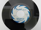 THE PHONETICS - WHAT GOOD AM I (WITHOUT YOU) / JUST A BOY`S DREAM (DEMO) REISSUE