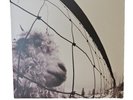 Pearl Jam - Vs. 30th Anniversary Edition 2 disc analog record 180 gram FREE SHIP