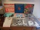 36x LP's ROOTS Dub REGGAE Alternative PUNK ROCK Indie LP LOT