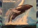 Songs Of The Humpback Whale LP Original (1970 Pressing) GREEN LABEL Capitol