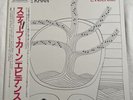Steve Khan EVIDENCE Trio Records Japan Press OBI EX EX Acoustic Jazz AW-25033 LP